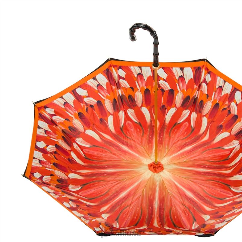 مظلة | 189 30093-4 n5 - مظلة بضربات فرشاة برتقالية، وقماش مزدوج PASOTTI Z446V479